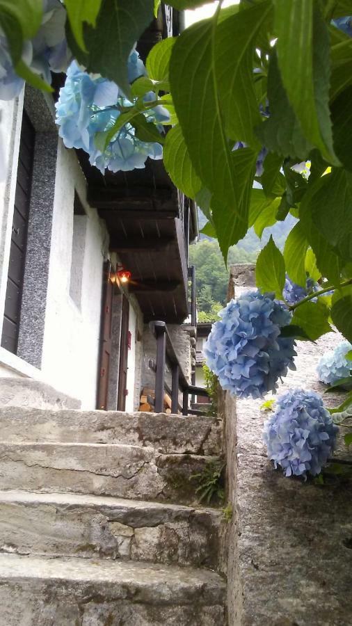 Casa Zizi Villa Crodo Exterior foto